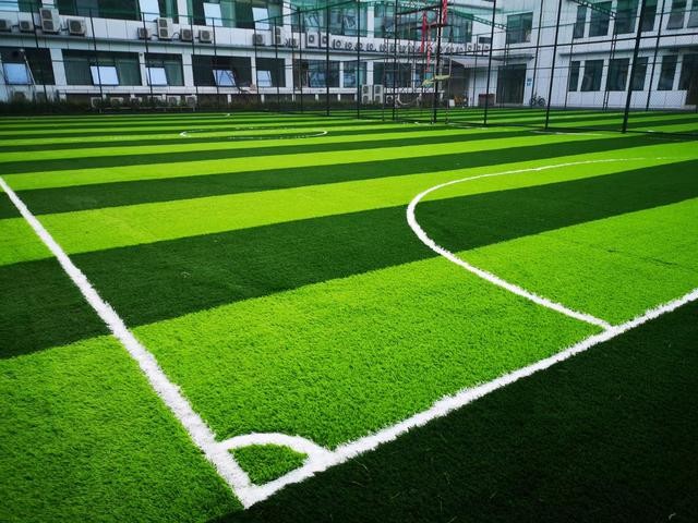 学校人造草坪